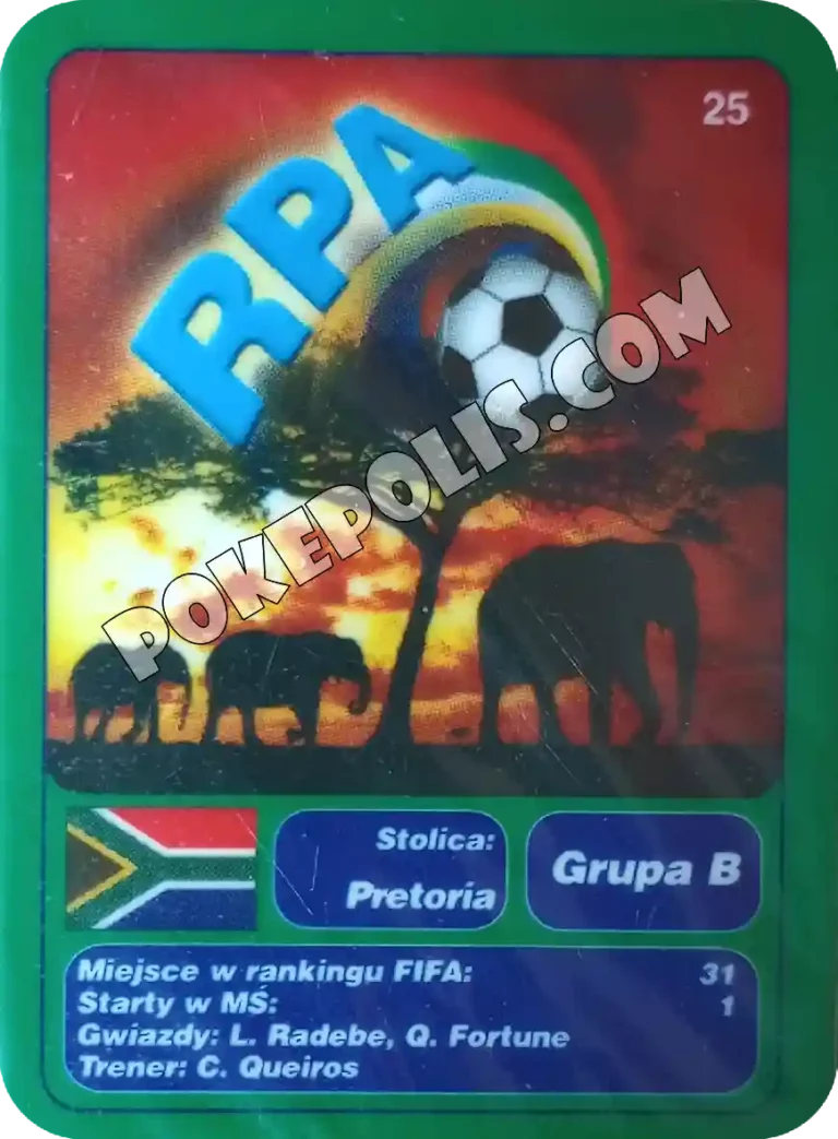 goool club 2002 karty z chipsów lays mistrzostwa świata w piłce nożnej mundial kraj rpa