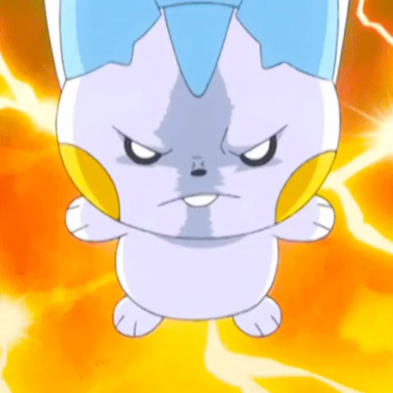 pachirisu