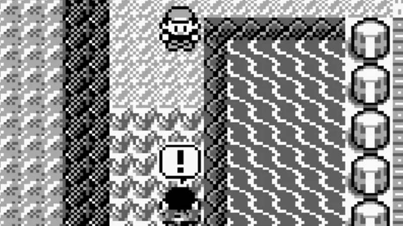 trainer fly glitch
