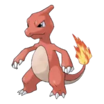 Charmeleon Pokemon 005 – opis, ewolucje i ataki