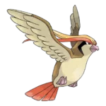 Pidgeot Pokemon 018 – opis, ewolucje i ataki