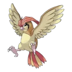 Pidgeotto Pokemon 017 – opis, ewolucje i ataki