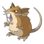 Raticate Pokemon 020 – opis, ewolucje i ataki