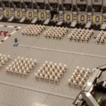 Największa wystawa klocków LEGO w Polsce 2025 – gdzie i kiedy?