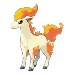 Ponyta