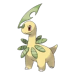 Bayleef Pokemon 153 – opis, ewolucje i ataki