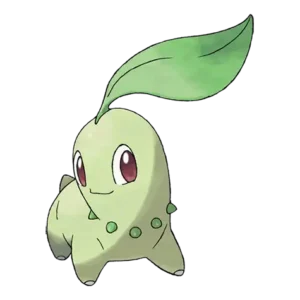 Chikorita Pokemon 152 – opis, ewolucje, ataki i ciekawostki