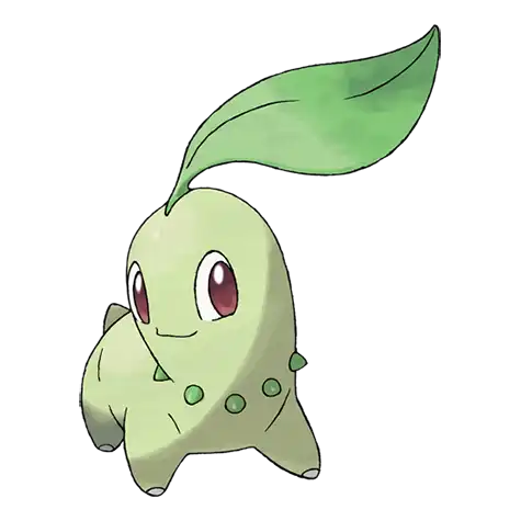 Chikorita Pokemon 152 – opis, ewolucje, ataki i ciekawostki