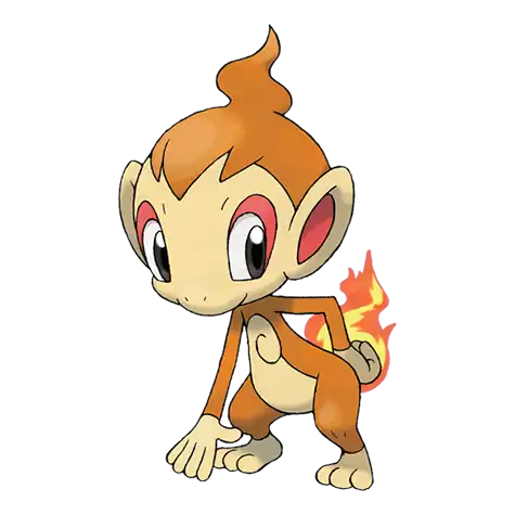 chimchar