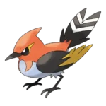 Fletchinder Pokemon 662 – opis, ewolucje i ataki