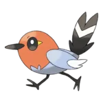 Fletchling Pokemon 661 – opis, ewolucje i ataki