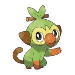 Grookey Pokemon 810 – opis, ewolucje i ataki