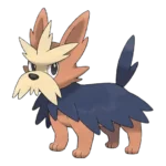 Herdier Pokemon 507 – opis, ewolucje i ataki