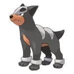 Houndour Pokemon 228 – opis, ewolucje i ataki