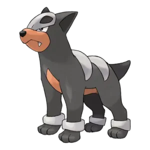 Houndour Pokemon 228 – opis, ewolucje, ataki i ciekawostki