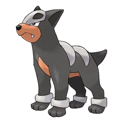 Houndour Pokemon 228 – opis, ewolucje, ataki i ciekawostki