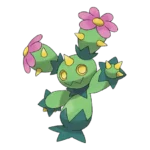 Maractus Pokemon 556 – opis, ewolucje i ataki
