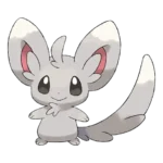 Minccino Pokemon 572 – opis, ewolucje i ataki