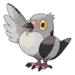 Pidove Pokemon 519 – opis, ewolucje i ataki