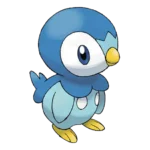 Piplup Pokemon 393 – opis, ewolucje i ataki