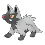 Poochyena Pokemon 261 – opis, ewolucje i ataki