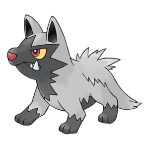 Poochyena Pokemon 261 – opis, ewolucje, ataki i ciekawostki