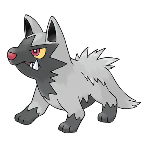Poochyena Pokemon 261 – opis, ewolucje, ataki i ciekawostki