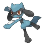 Riolu Pokemon 447 – opis, ewolucje i ataki