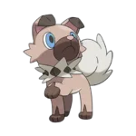 Rockruff Pokemon 744 – opis, ewolucje i ataki