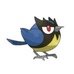 Rookidee Pokemon 821 – opis, ewolucje i ataki