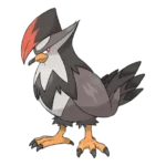 Staraptor Pokemon 398 – opis, ewolucje i ataki