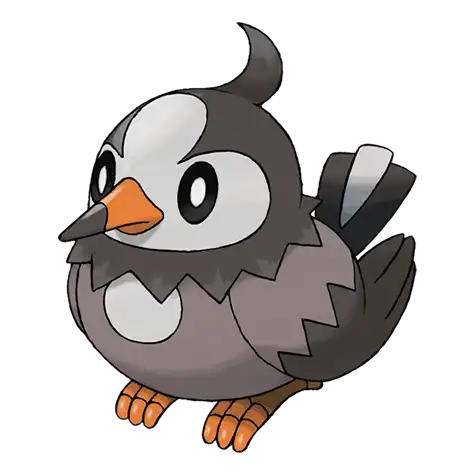 Starly Pokemon 396 – miniatura i grafika Pokédex