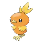 Torchic Pokemon 255 – opis, ewolucje i ataki