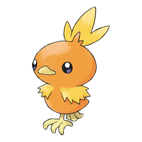Torchic Pokemon 255 – opis, ewolucje, ataki i ciekawostki