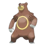 Ursaring Pokemon 217 – opis, ewolucje i ataki