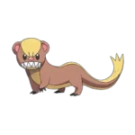 Yungoos Pokemon 734 – opis, ewolucje i ataki