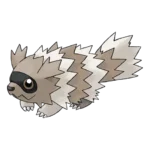 Zigzagoon Pokemon 263 – opis, ewolucje i ataki