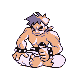 Bruno – trener w Pokémon FireRed / LeafGreen