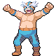 Crasher Wake – Platinum 1 Crasher Wake – trener w Pokémon Platinum