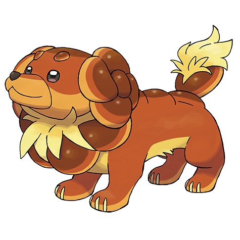 Fidough – Pokédex #926, ewolucje i statystyki 3 Dachsbun