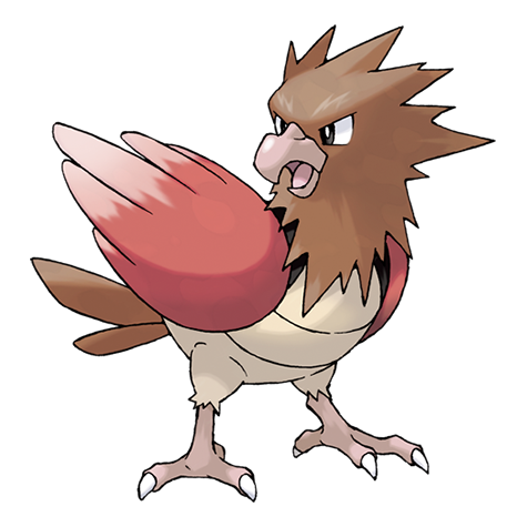Goldenrod City 5 Spearow
