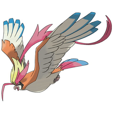 Mega Pidgeot Pokemon 018 – miniatura i grafika Pokédex