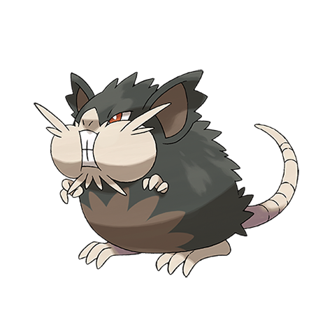 Raticate Alola