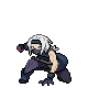 Shadow – trener w Pokémon Black 2 / White 2