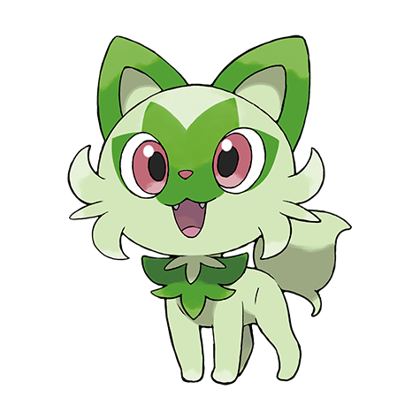 Meowscarada Pokemon 908 – opis, ewolucje i ataki 2 Sprigatito