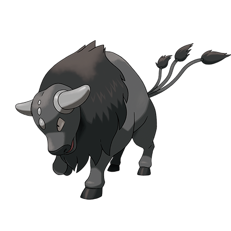 Tauros Paldea Combat Pokemon 128 – miniatura i grafika Pokédex