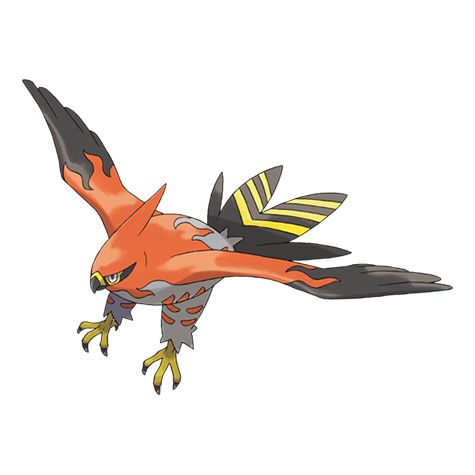 Tierno – X i Y 2 Talonflame