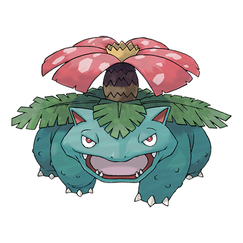 Sycamore – X i Y 2 Venusaur