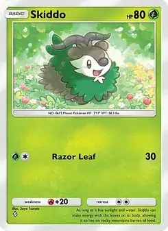 Skiddo
