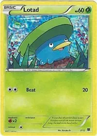 Lotad - 2/12